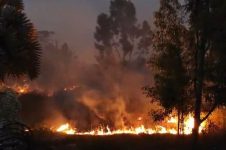 incendio-atinge-area-de-vegetacao-proxima-a-condominio-e-assusta-moradores-de-araruama,-no-rj