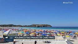 lei-autoriza-circulacao-e-permanencia-de-caes-nas-praias-de-cabo-frio,-no-rj