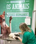 animais-de-cardiologista-preso-sao-acolhidos-apos-serem-encontrados-em-condicoes-insalubres-no-rj